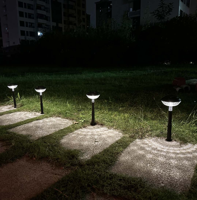 Solar Walkway Light